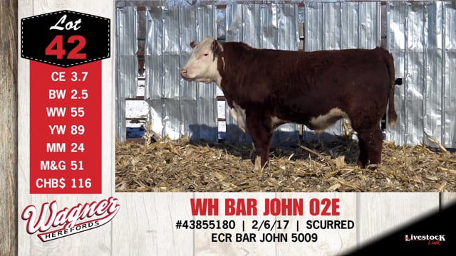 Lot #42 - WH BAR JOHN 02E