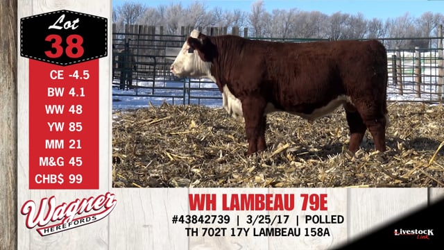 Lot #38 - WH LAMBEAU 79E