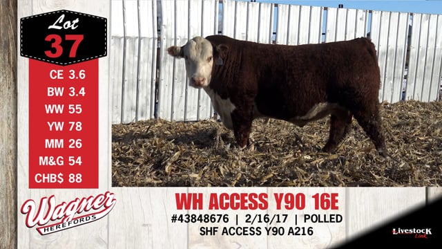Lot #37 - WH ACCESS Y90 16E