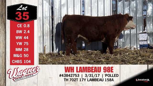 Lot #35 - WH LAMBEAU 98E