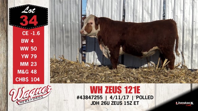 Lot #34 - WH ZEUS 121E