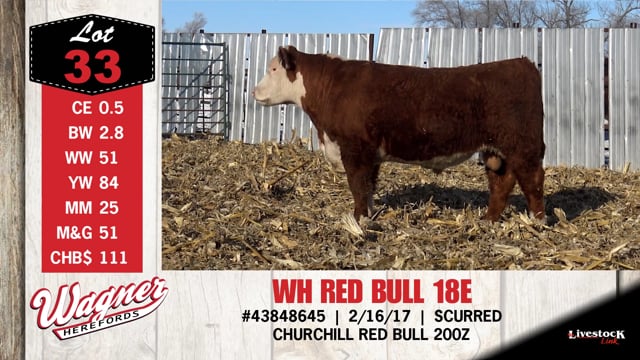 Lot #33 - WH RED BULL 18E