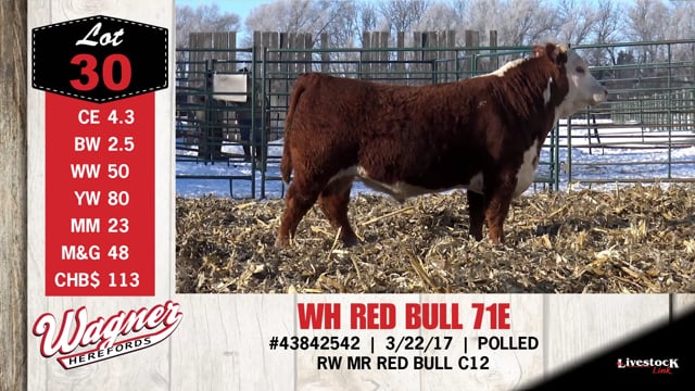 Lot #30 - WH RED BULL 71E