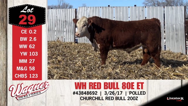 Lot #29 - WH RED BULL 80E ET