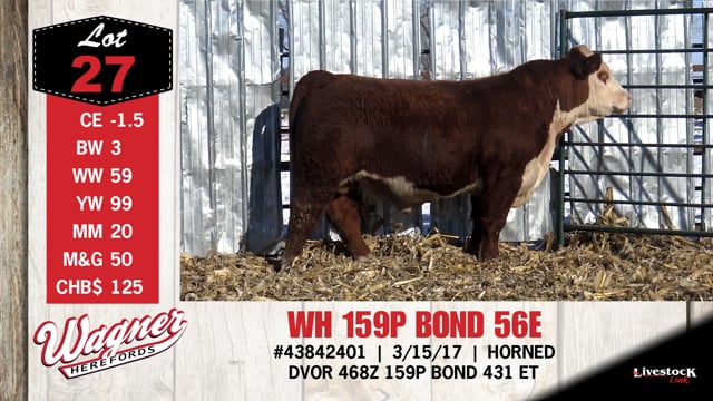 Lot #27 - WH 159P BOND 56E