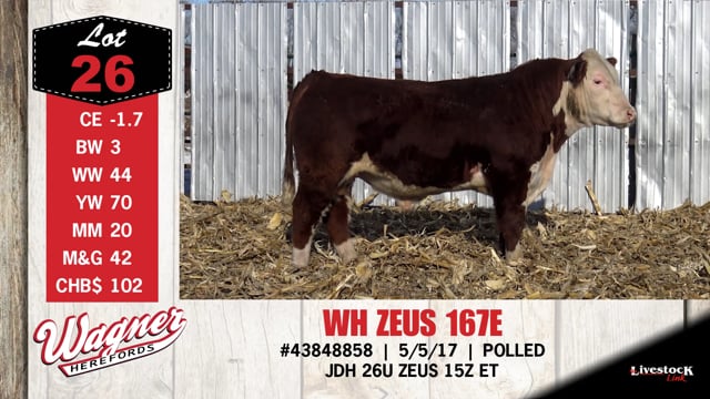 Lot #26 - WH ZEUS 167E