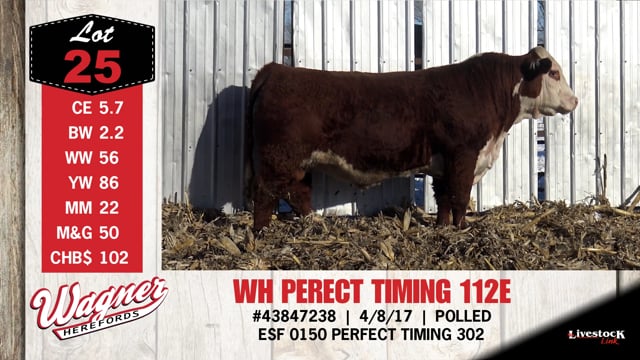 Lot #25 - WH PERFECT TIMING 112E