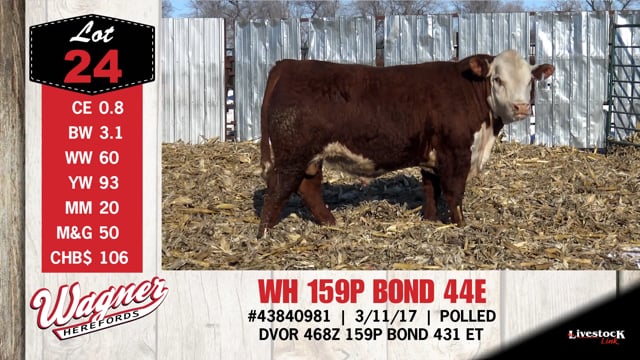 Lot #24 - WH 159P BOND 44E
