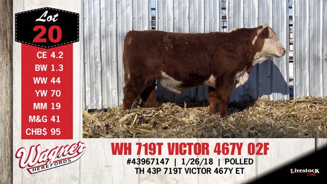 Lot #20 - WH 719T VICTOR 467Y 02F