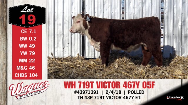 Lot #19 - WH 719T VICTOR 467Y 05F