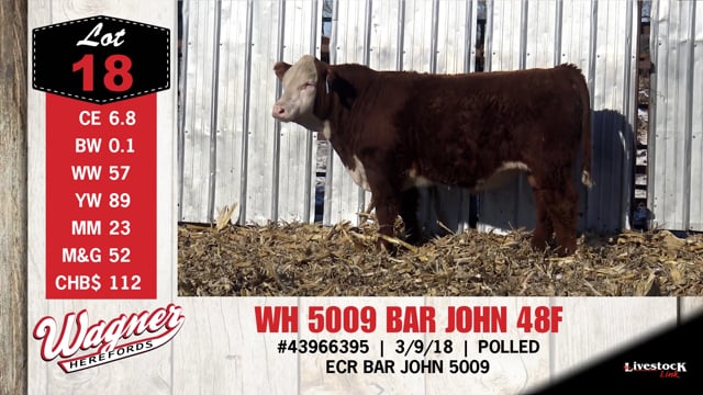 Lot #18 - WH 5009 BAR JOHN 48F