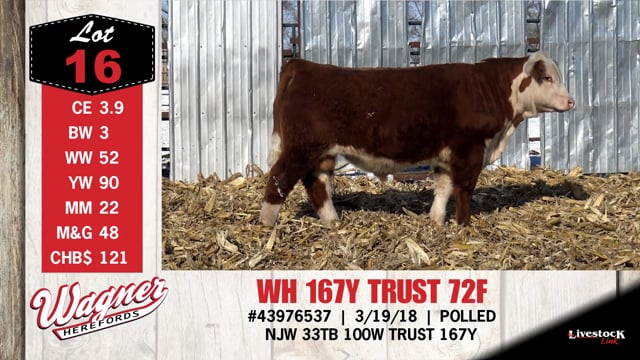 Lot #16 - WH 167Y TRUST 72F