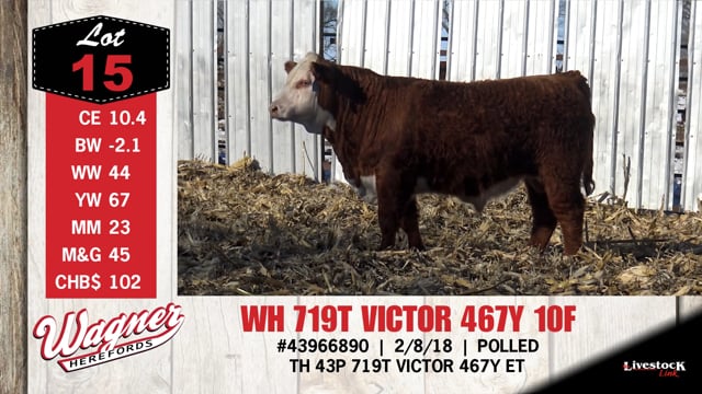 Lot #15 - WH 719T VICTOR 467Y 10F