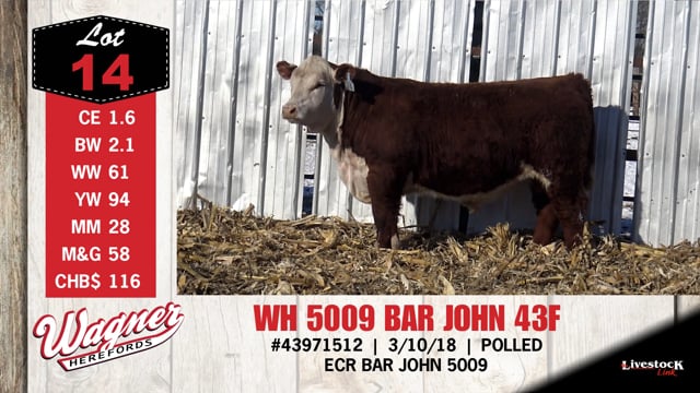 Lot #14 - WH 5009 BAR JOHN 43F