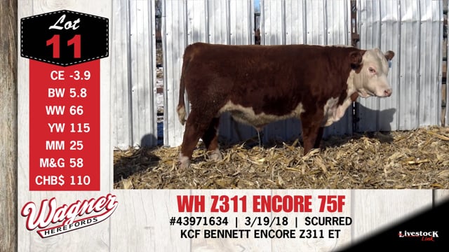 Lot #11 - WH Z311 ENCORE 75F