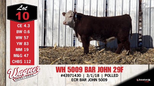 Lot #10 - WH 5009 BAR JOHN 29F