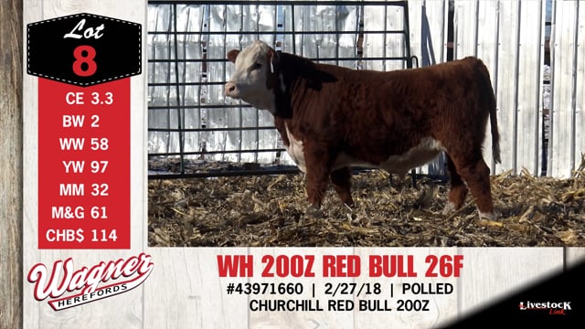 Lot #8 - WH 200Z RED BULL 26F