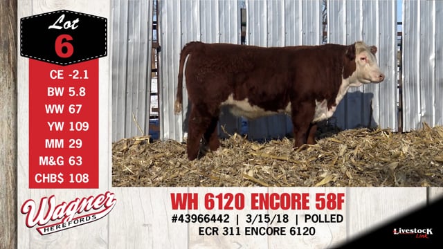 Lot #6 - WH 6120 ENCORE 58F