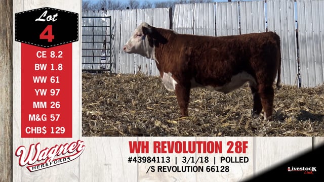 Lot #4 - WH REVOLUTION 28F