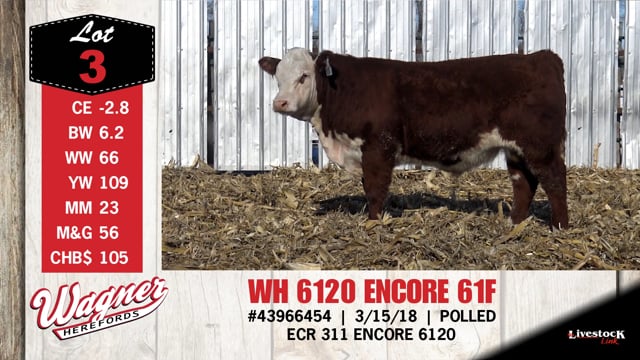 Lot #3 - WH 6120 ENCORE 61F
