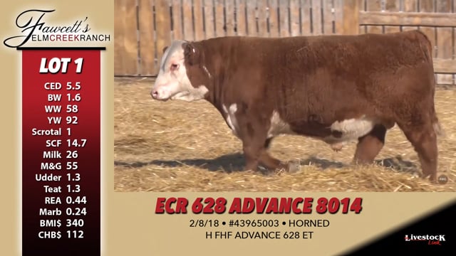 Lot #1 - ECR 628 ADVANCE 8014