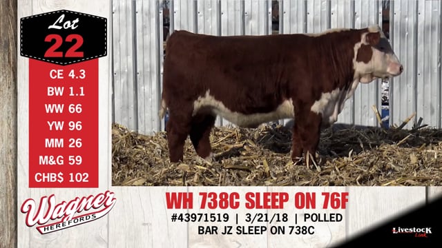 Lot #22 - WH 738C SLEEP ON 76F