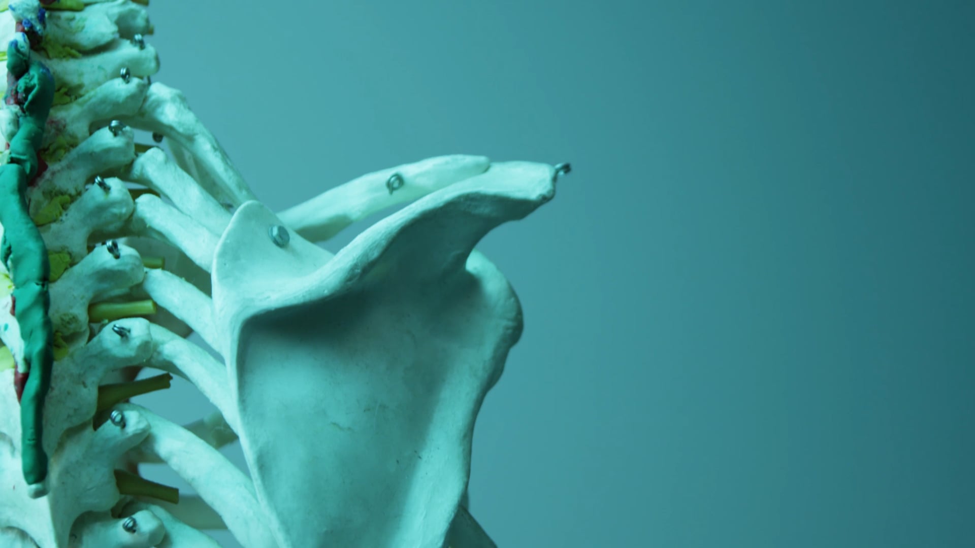 Corporeal Creatures trailer