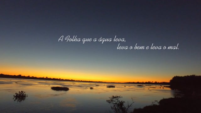 Watch on Vimeo