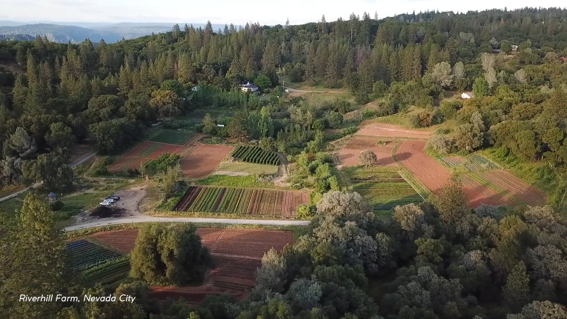BriarPatch Food Co-op: Why We Love Local