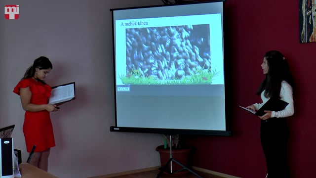 Kincskeresők 2018 - Grulyó Krisztina, Rigó Kornélia, Torna