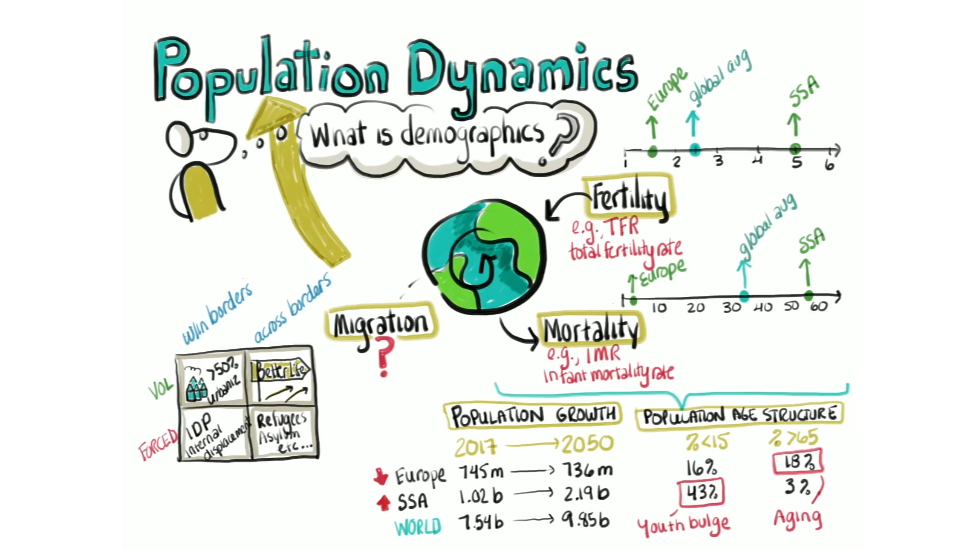 Introduction To Population Dynamics Animated On Vimeo 7156