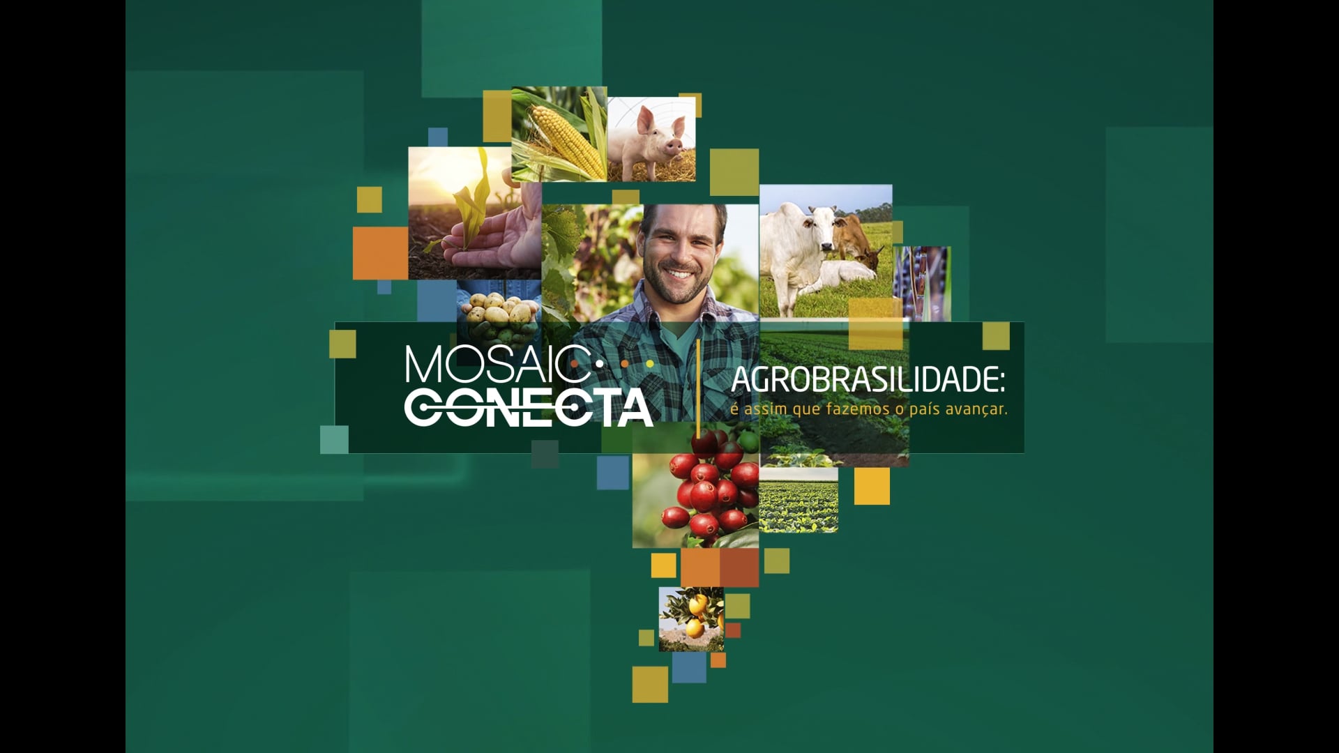 Mosaic Conecta Vinheta