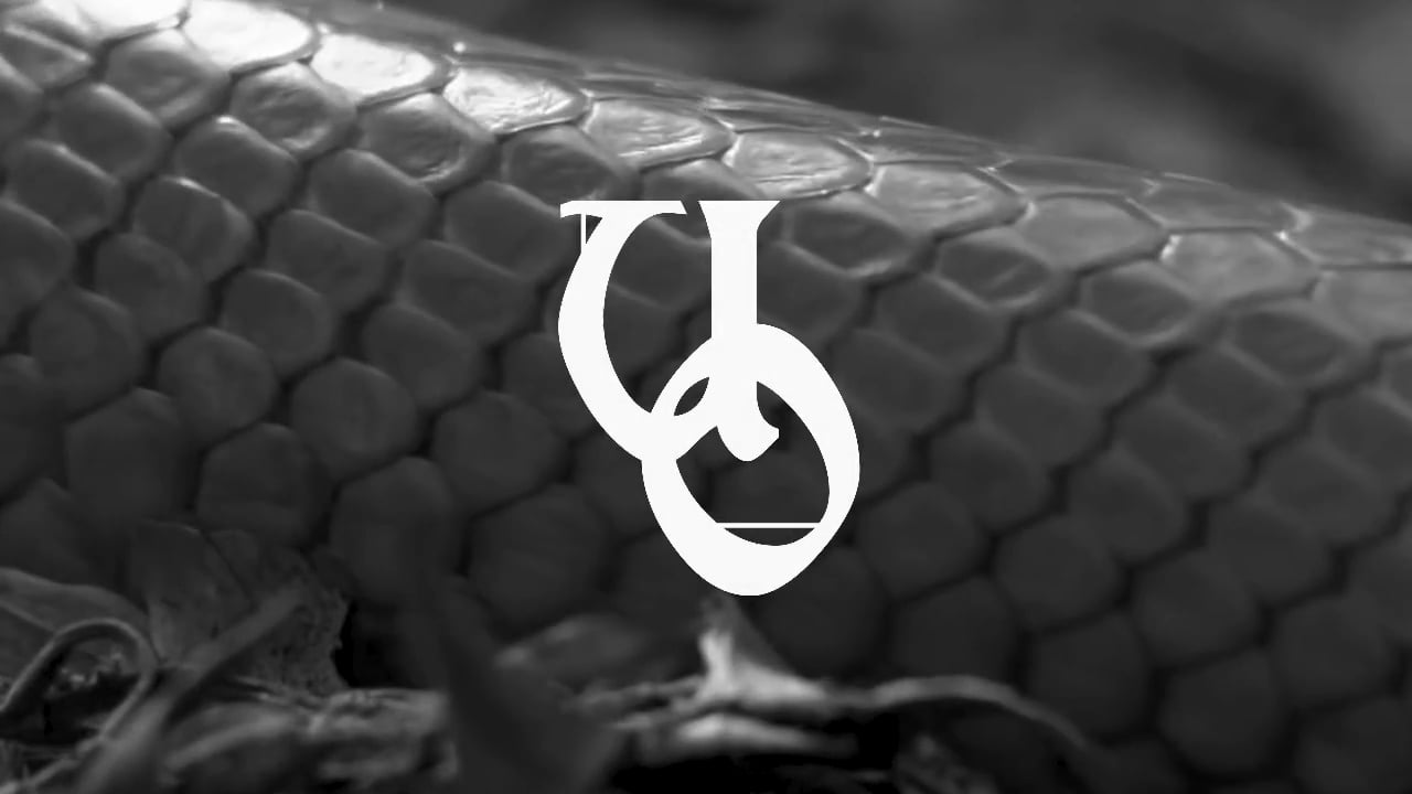 Teaser - UO