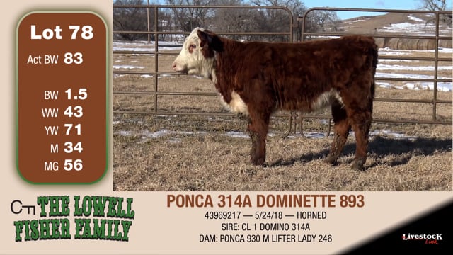 Lot #78 - PONCA 314A DOMINETTE 893