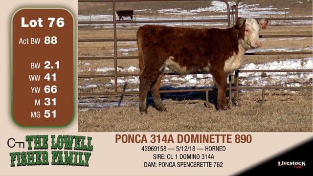 Lot #76 - PONCA 314A DOMINETTE 890