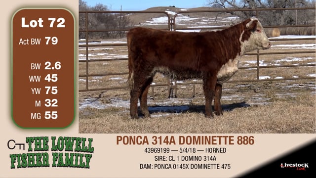 Lot #72 - PONCA 314A DOMINETTE 886