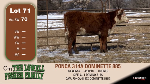 Lot #71 - PONCA 314A DOMINETTE 885