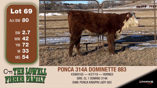 Lot #69 - PONCA 314A DOMINETTE 883