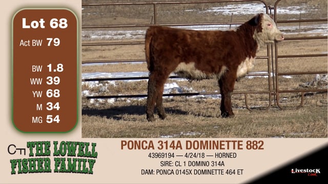 Lot #68 - PONCA 314A DOMINETTE 882