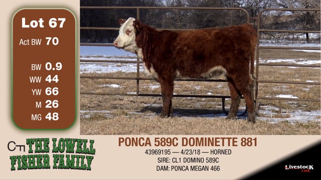 Lot #67 - PONCA 589C DOMINETTE 881