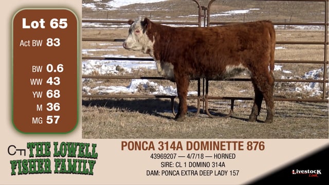 Lot #65 - PONCA 314A DOMINETTE 876