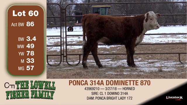 Lot #60 - PONCA 314A DOMINETTE 870