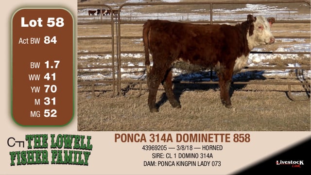 Lot #58 - PONCA 314A DOMINETTE 858