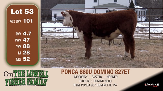 Lot #53 - PONCA 860U DOMINO 827ET