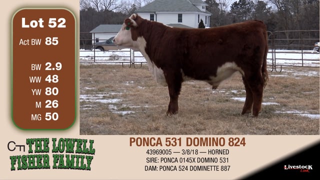 Lot #52 - PONCA 531 DOMINO 824