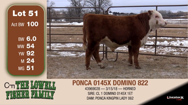 Lot #51 - PONCA 0145X DOMINO 822