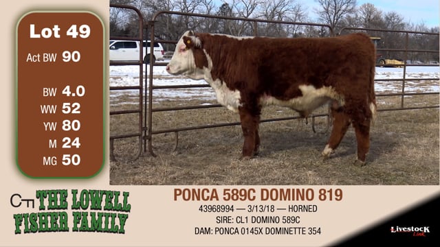Lot #49 - PONCA 589C DOMINO 819