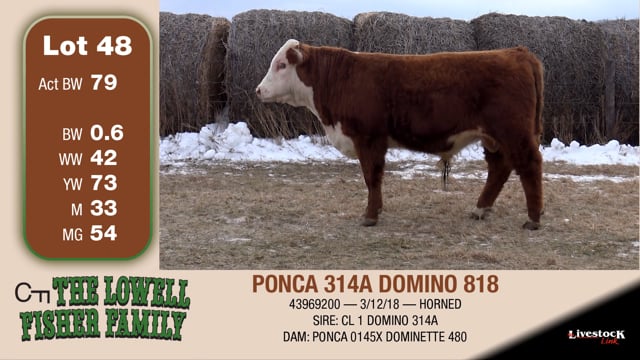 Lot #48 - PONCA 314A DOMINO 818