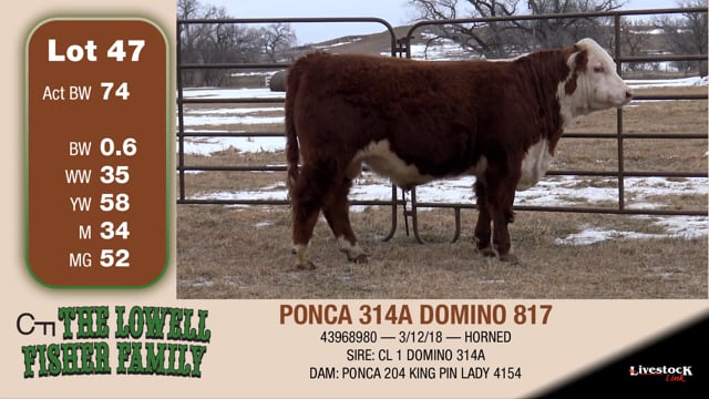 Lot #47 - PONCA 314A DOMINO 817