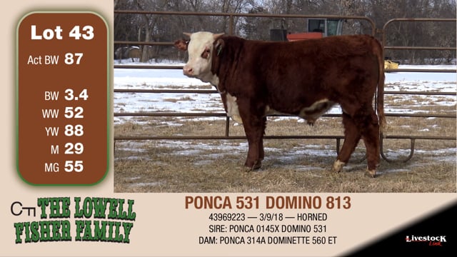 Lot #43 - PONCA 531 DOMINO 813